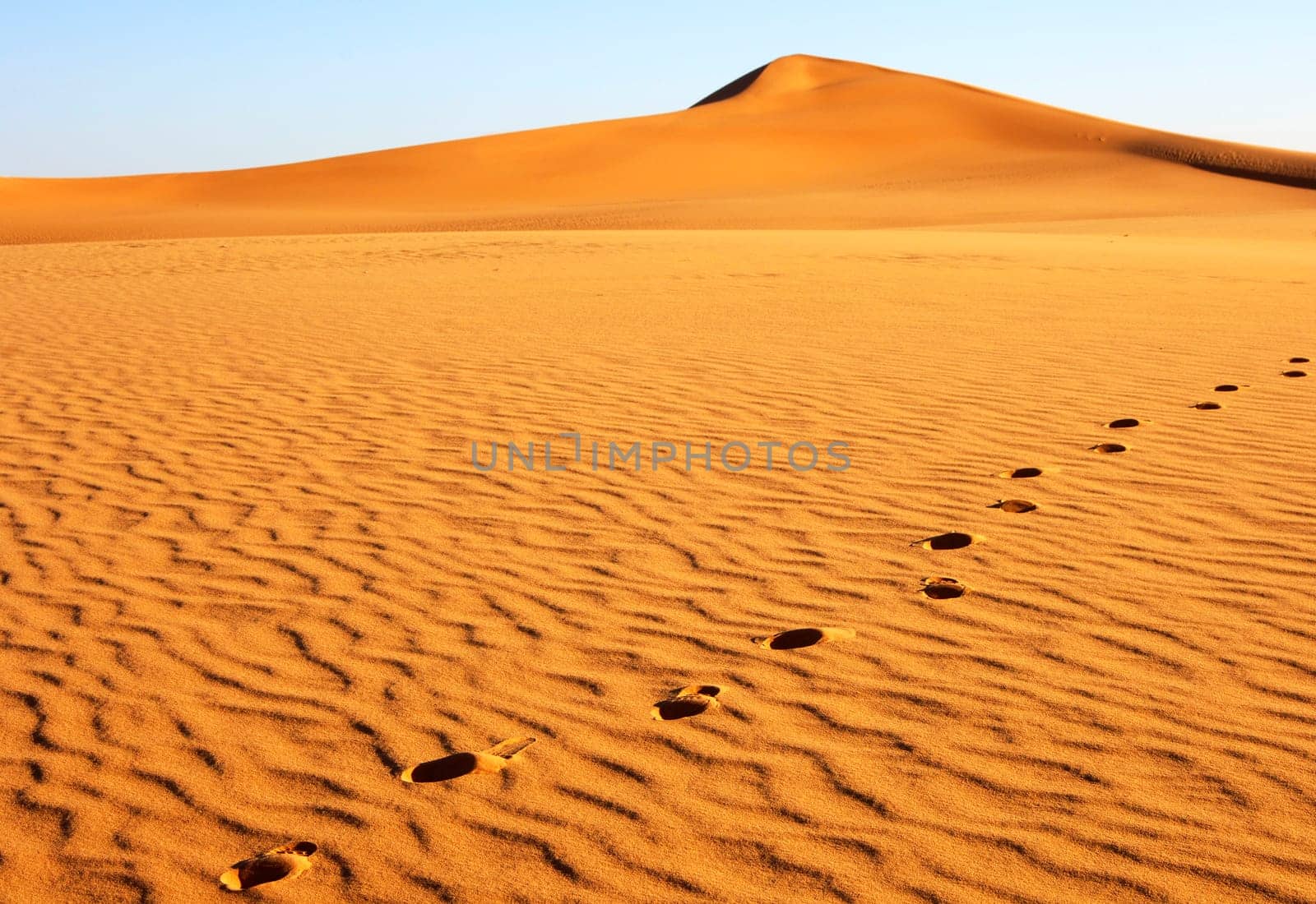 Footprints on a sand dune,Sahara