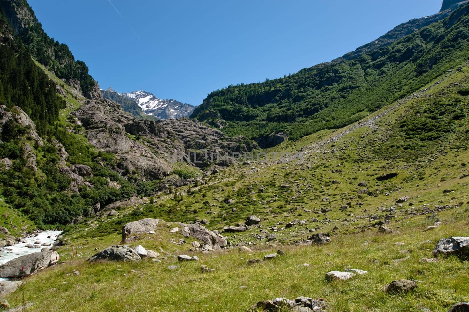 Trift Valley