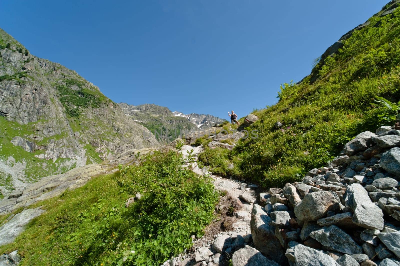 Trift Valley