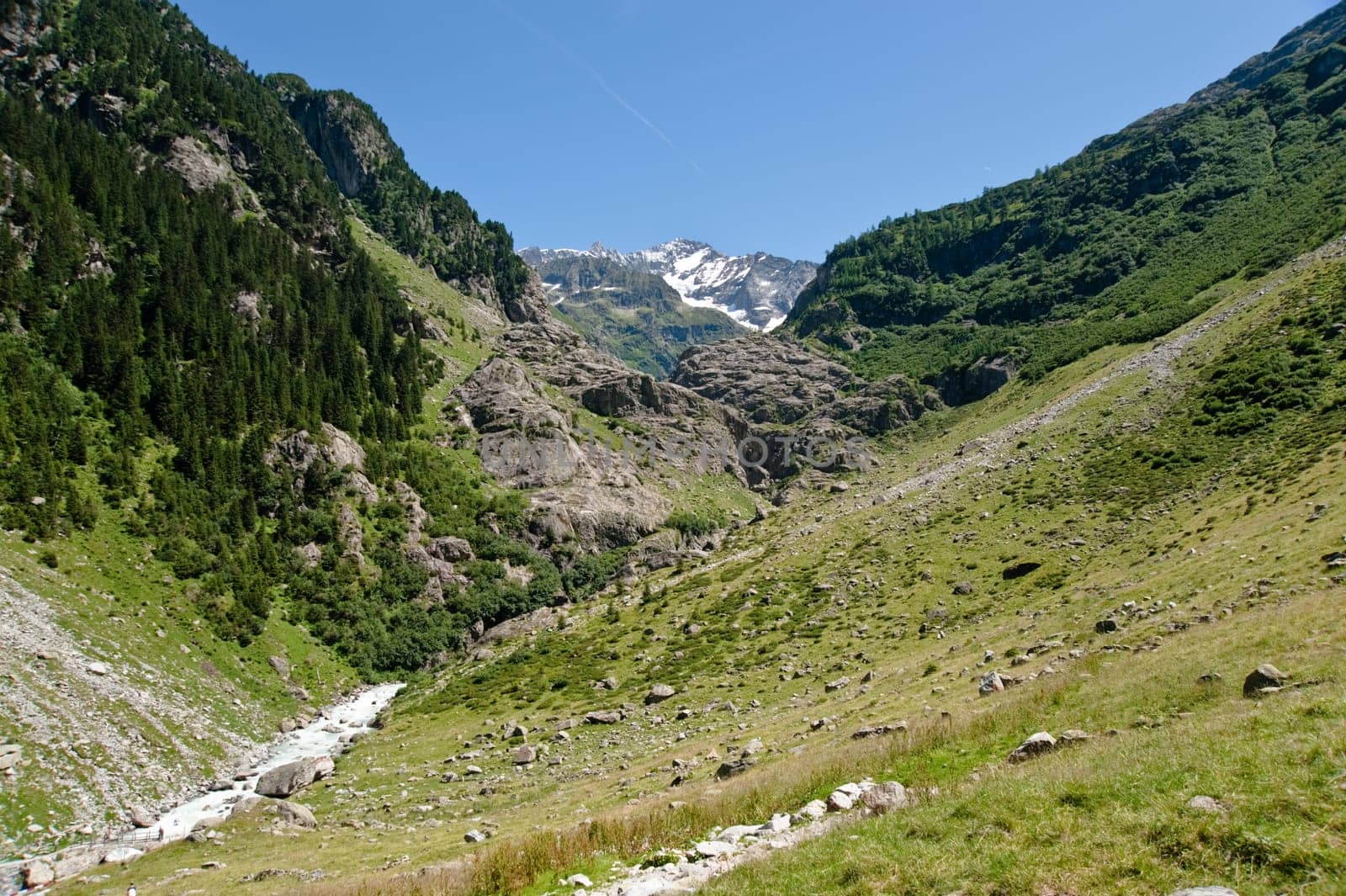 Trift Valley