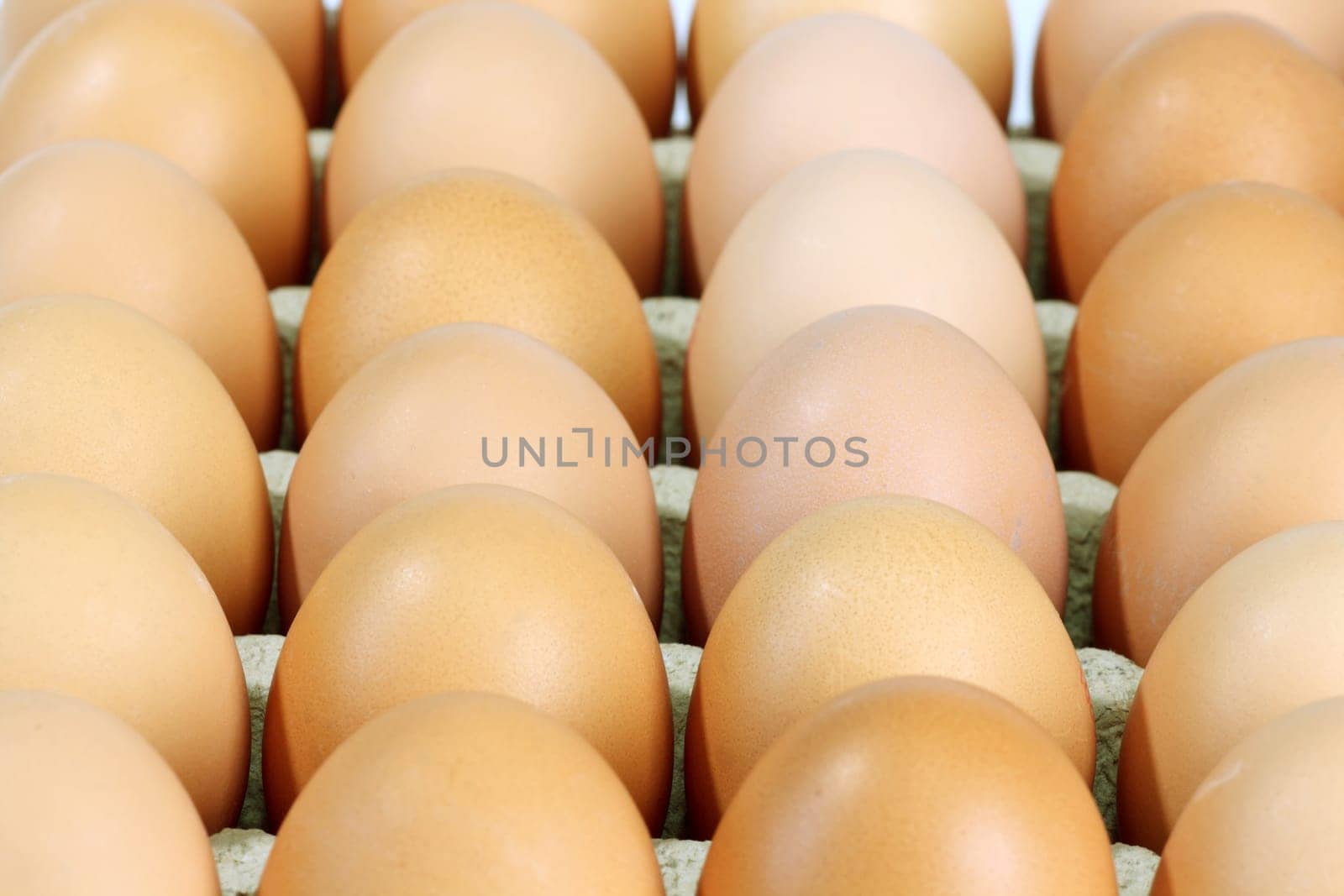 Egg pallet