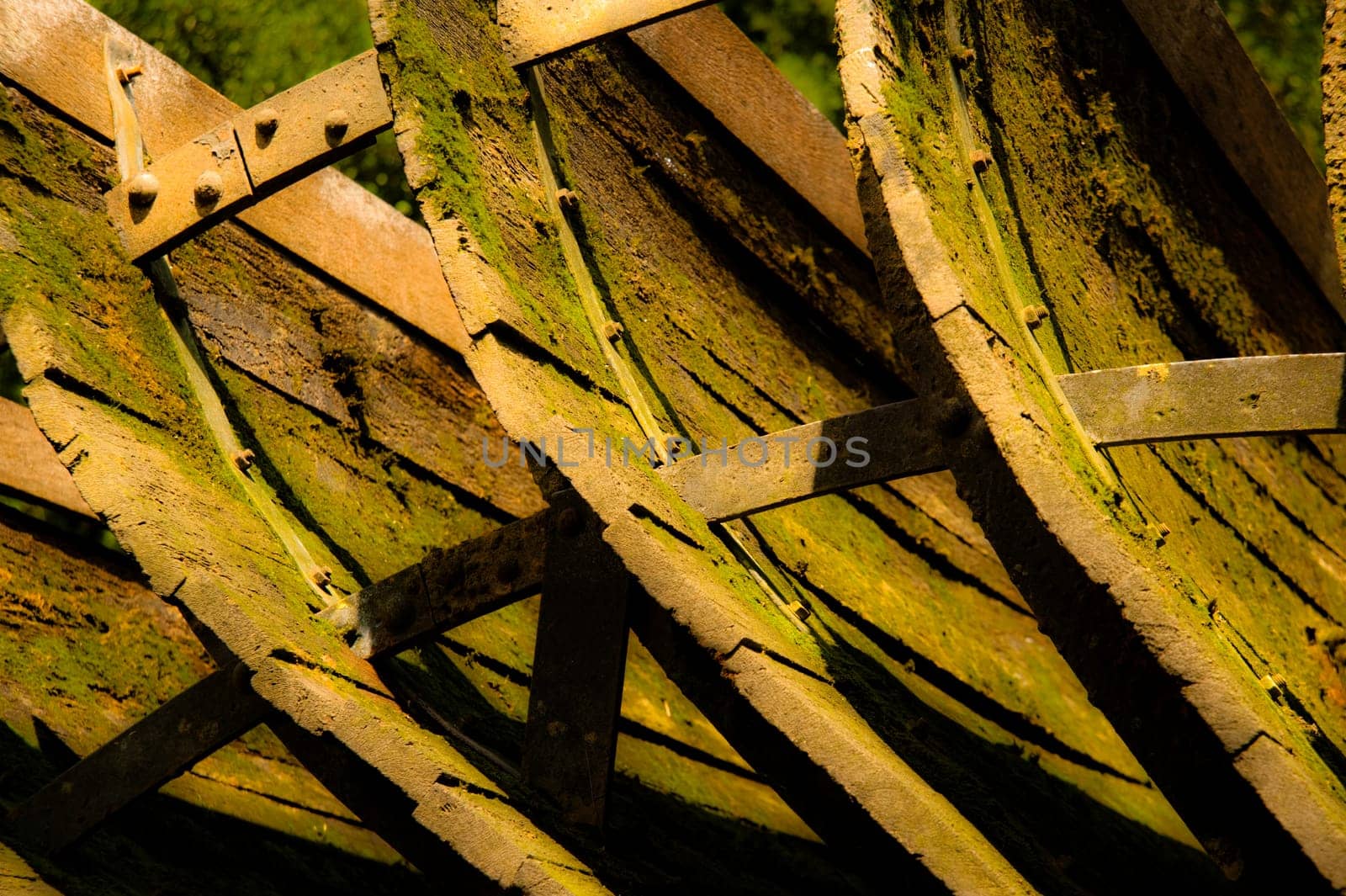 Paddle wheel