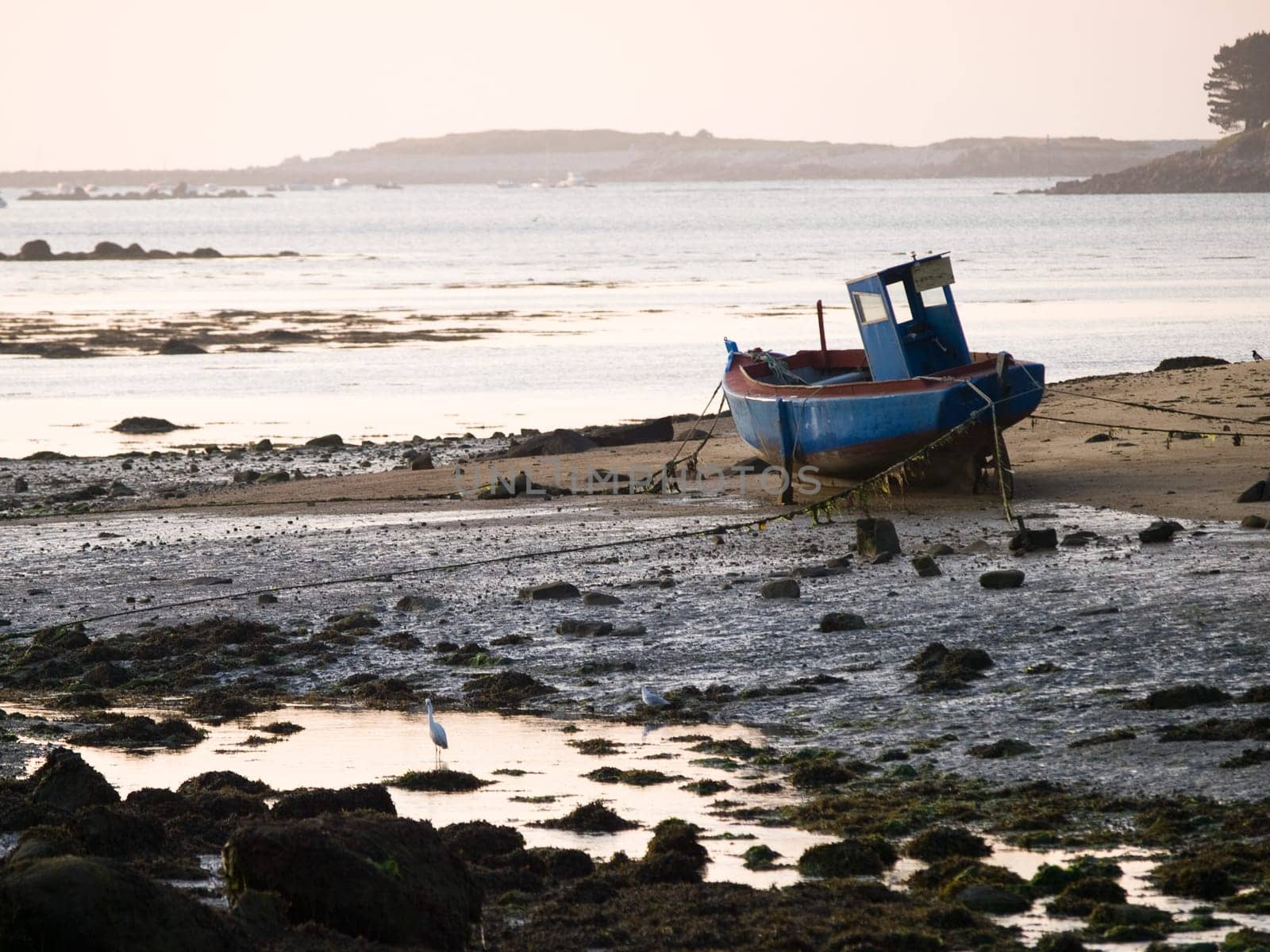 Low tide