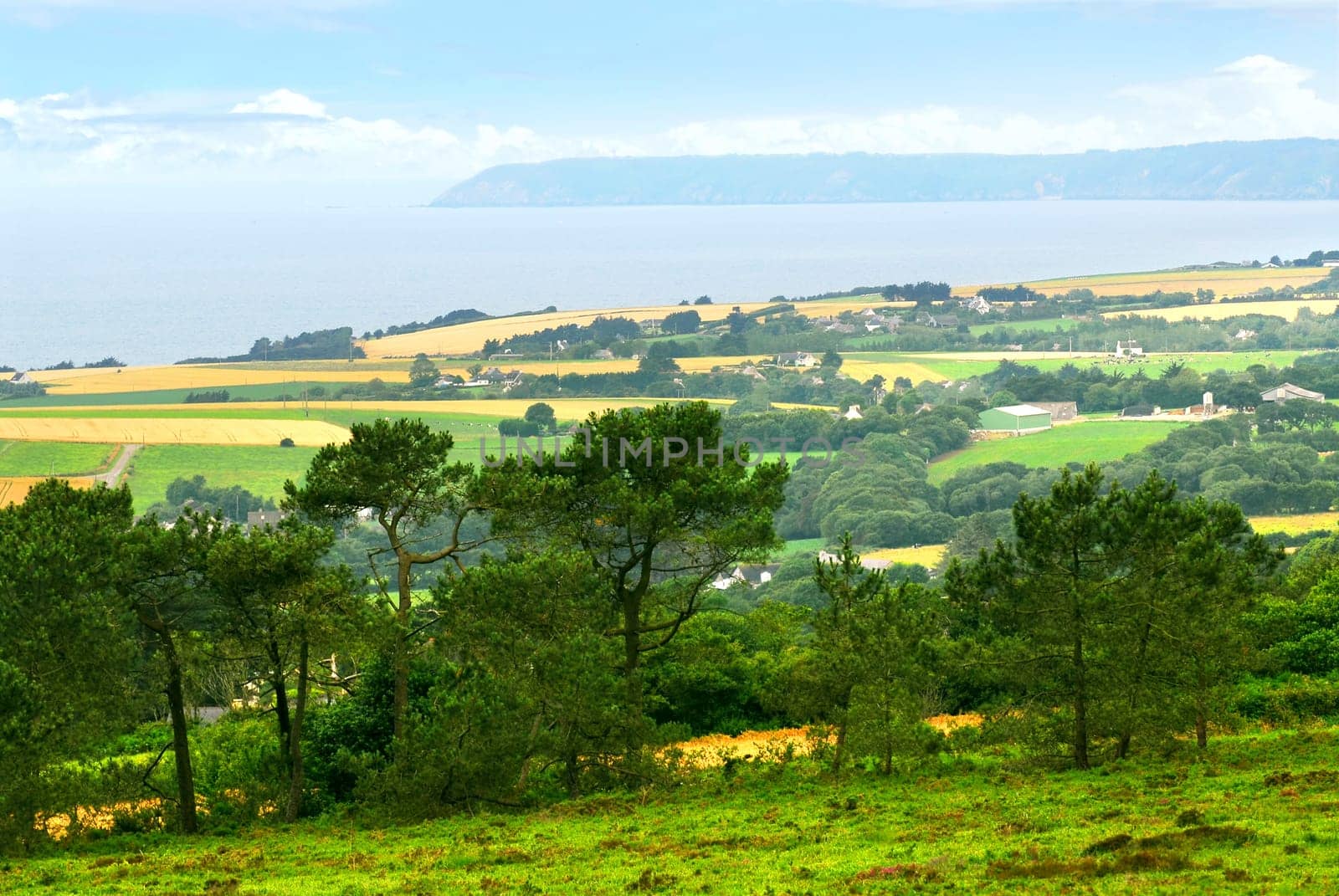 Agricultural landscape