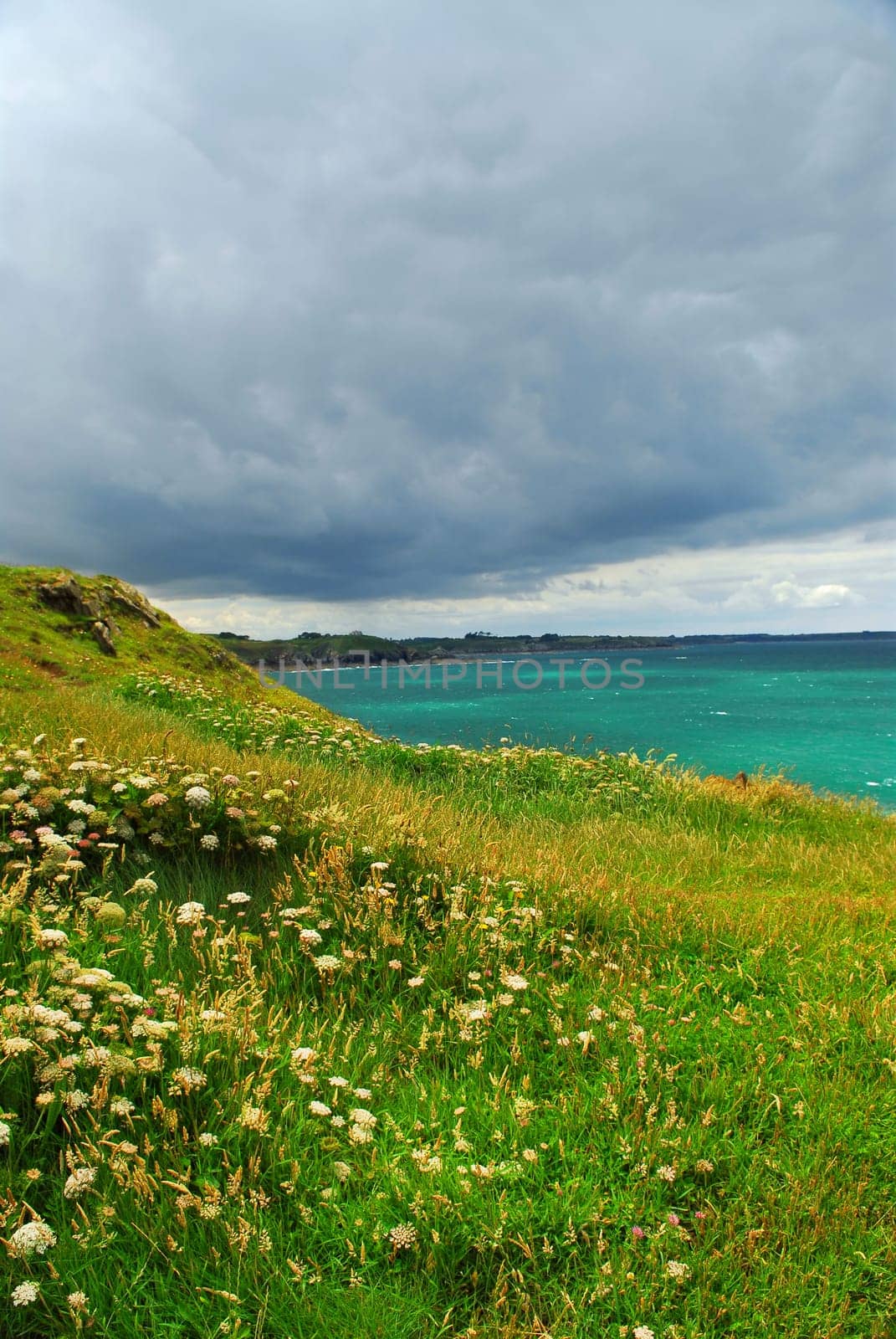Atlantic coast in Brittany