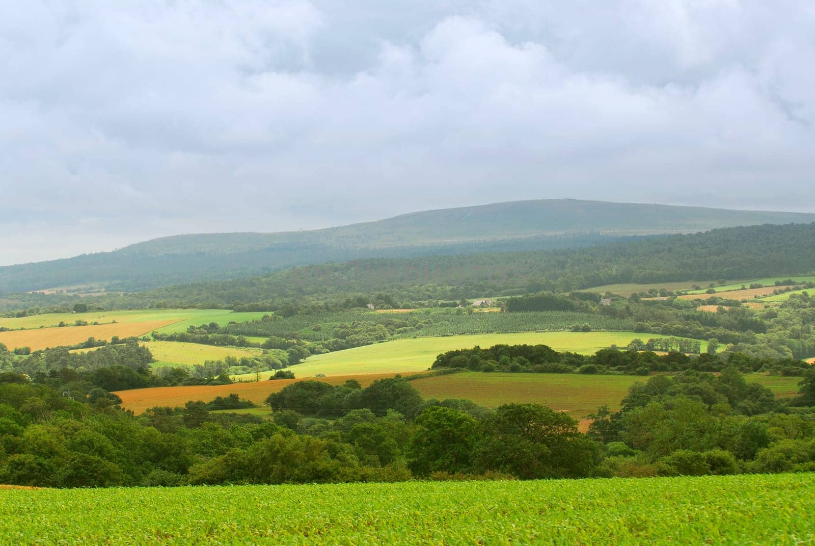 Agricultural landscape
