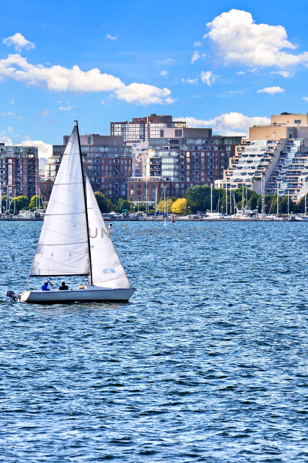 Sailing in Toronto harbor