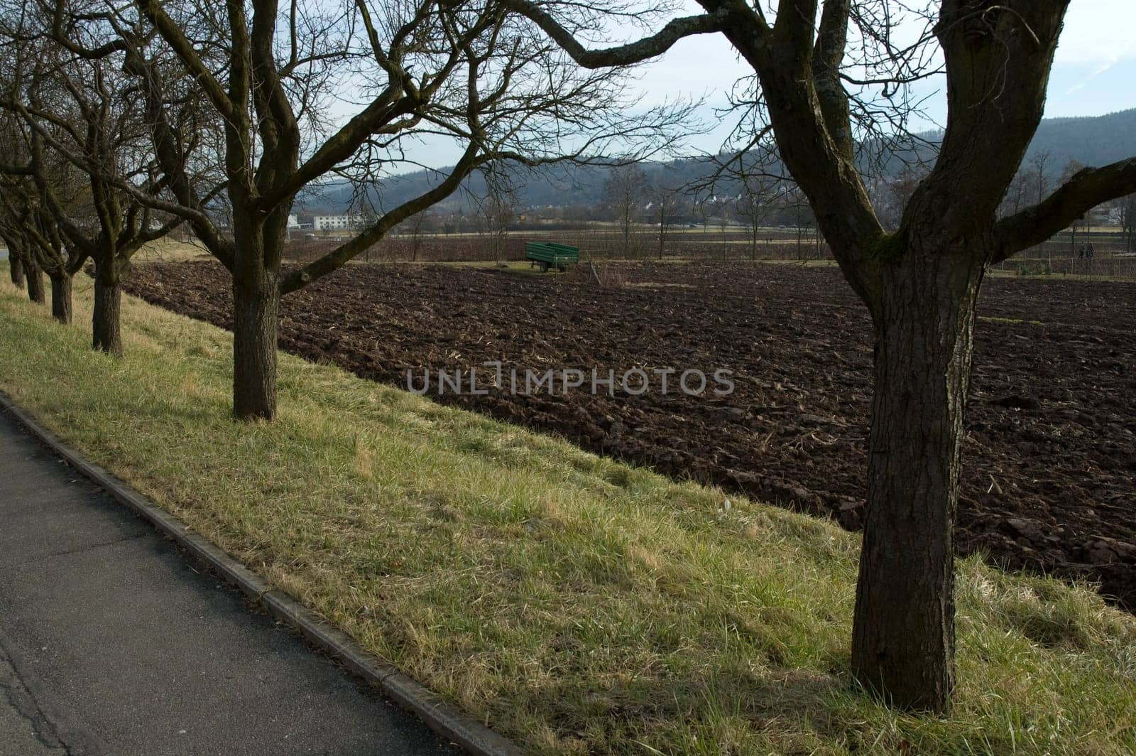 Fruit trees in late autumn