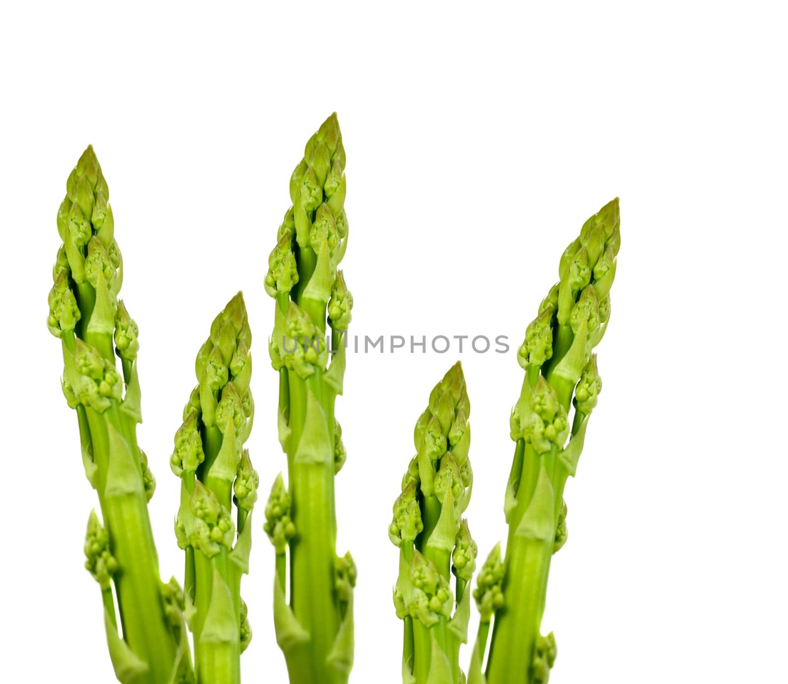 organic asparagus spears tips