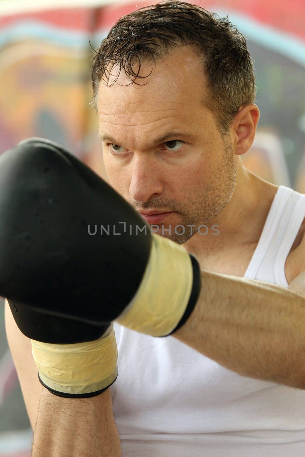 box training