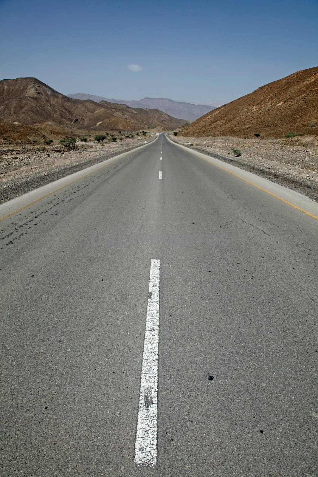 Width