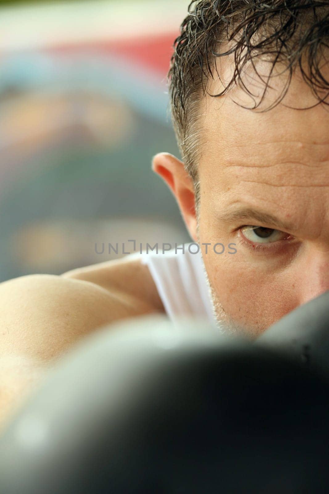 portrait of boxer