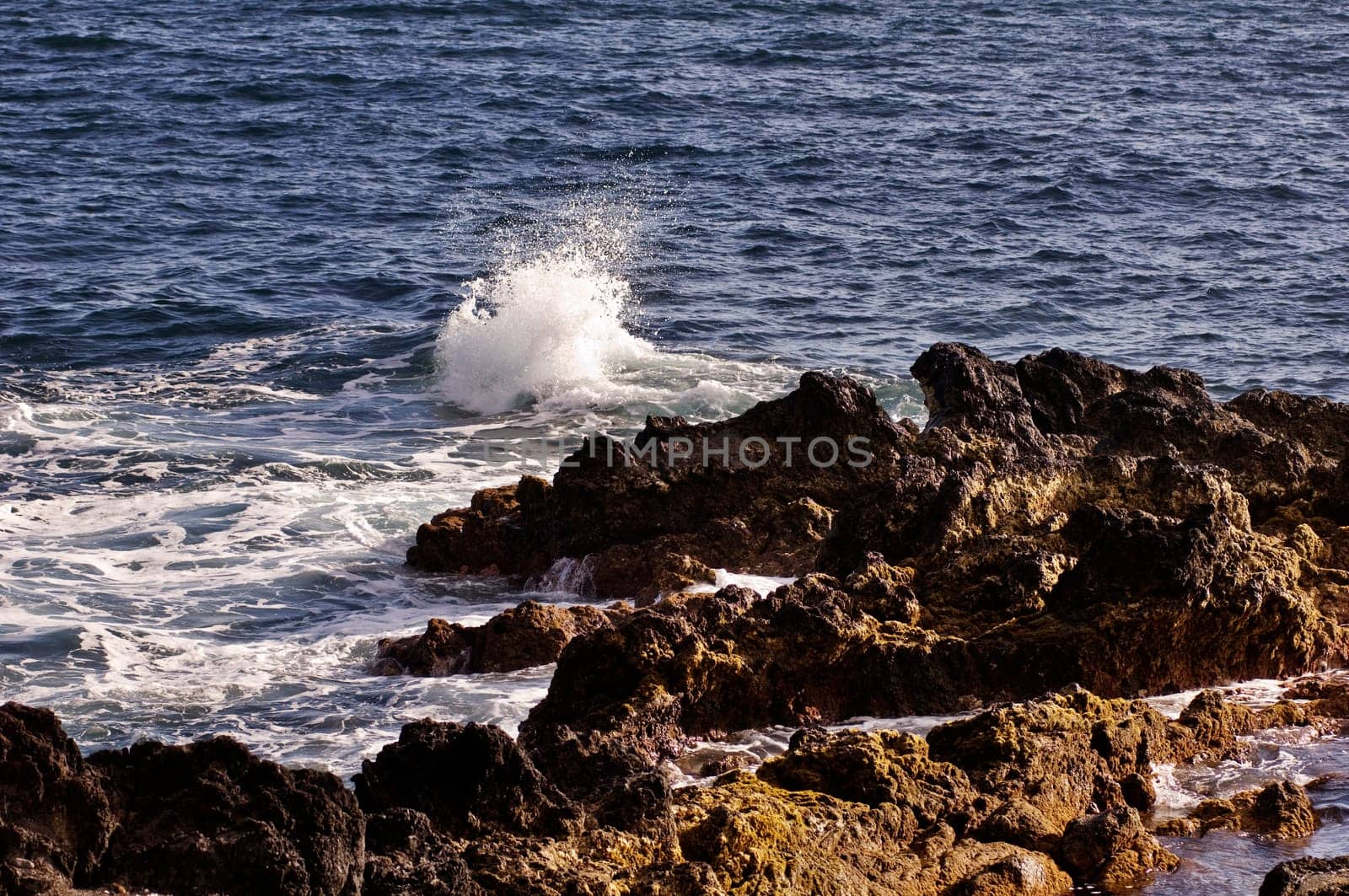 Volcanic coastline in  Azores
