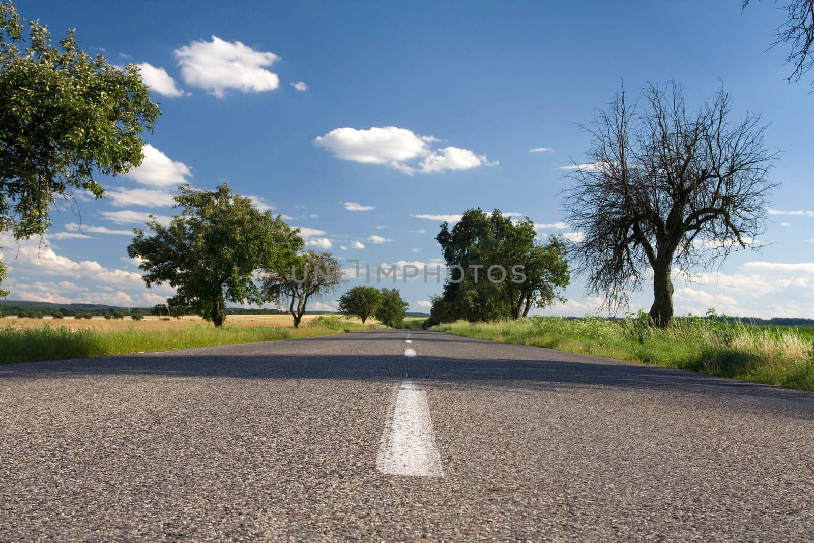 Road