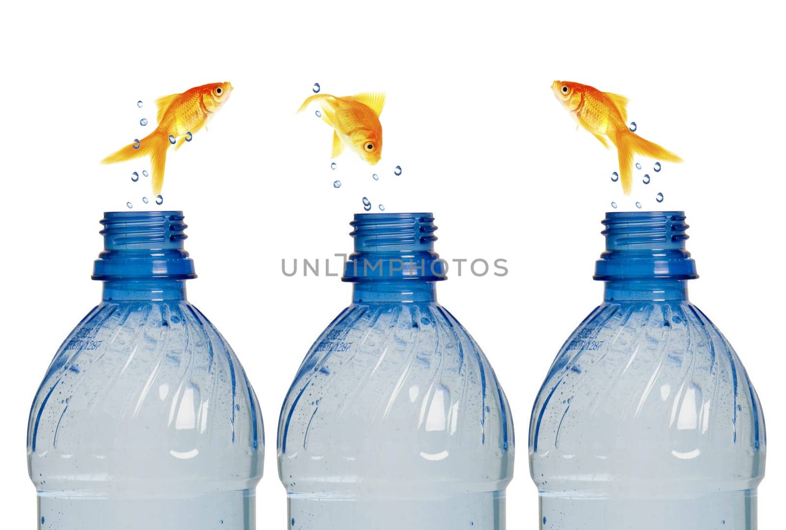 Jump into the bottle