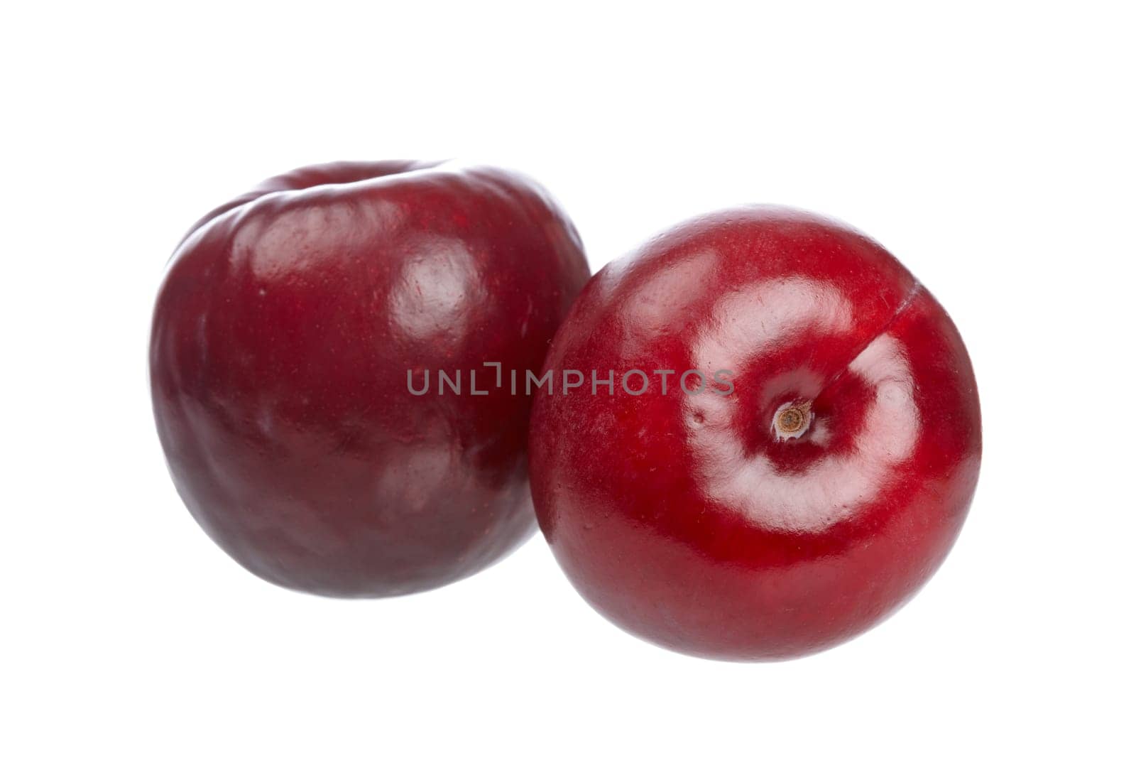 Two fresh plums