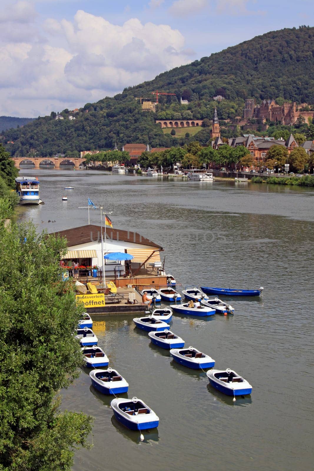 HD on the Neckar