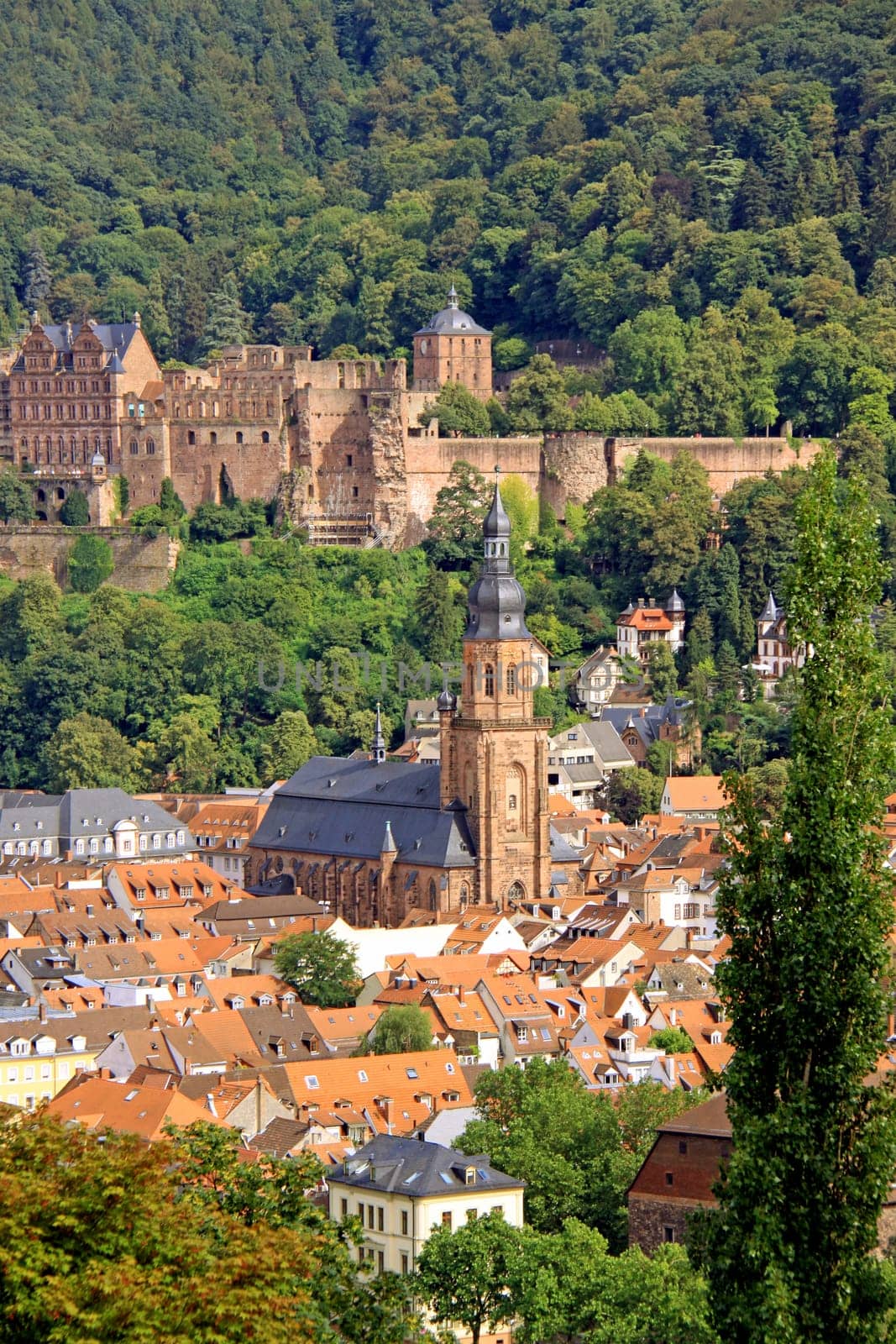 The Church of the Holy Spirit is the most important and at the same time the largest church in Heidelberg. It is located on the market square in the middle of the old town,not far from Heidelberg Castle.