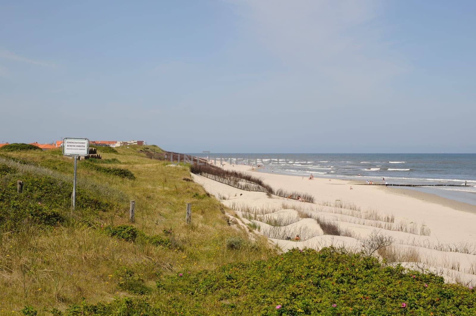 Dune conservation area on Wangerooge