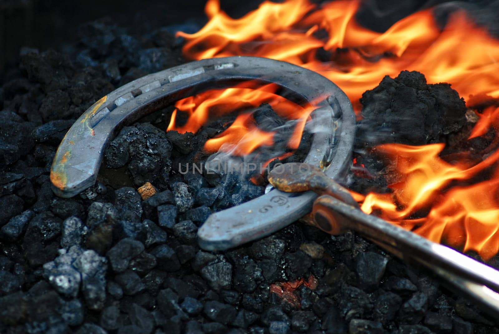horseshoe