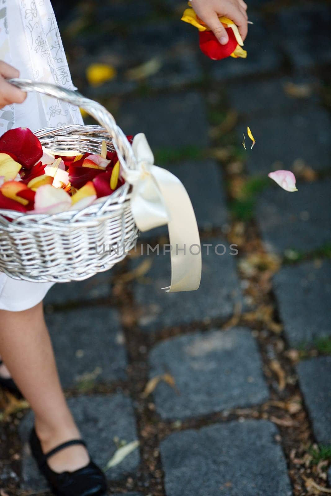 Flower Girl