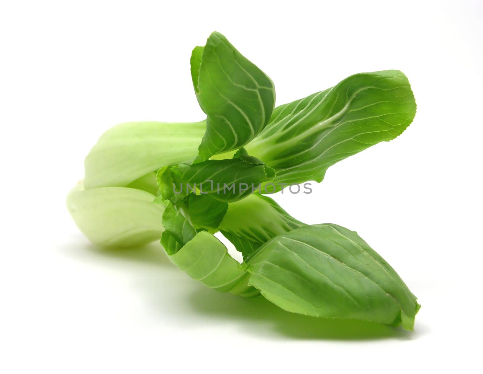 Pak Soi arranged against white background