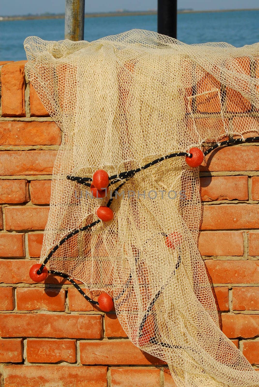 The Fishing Net