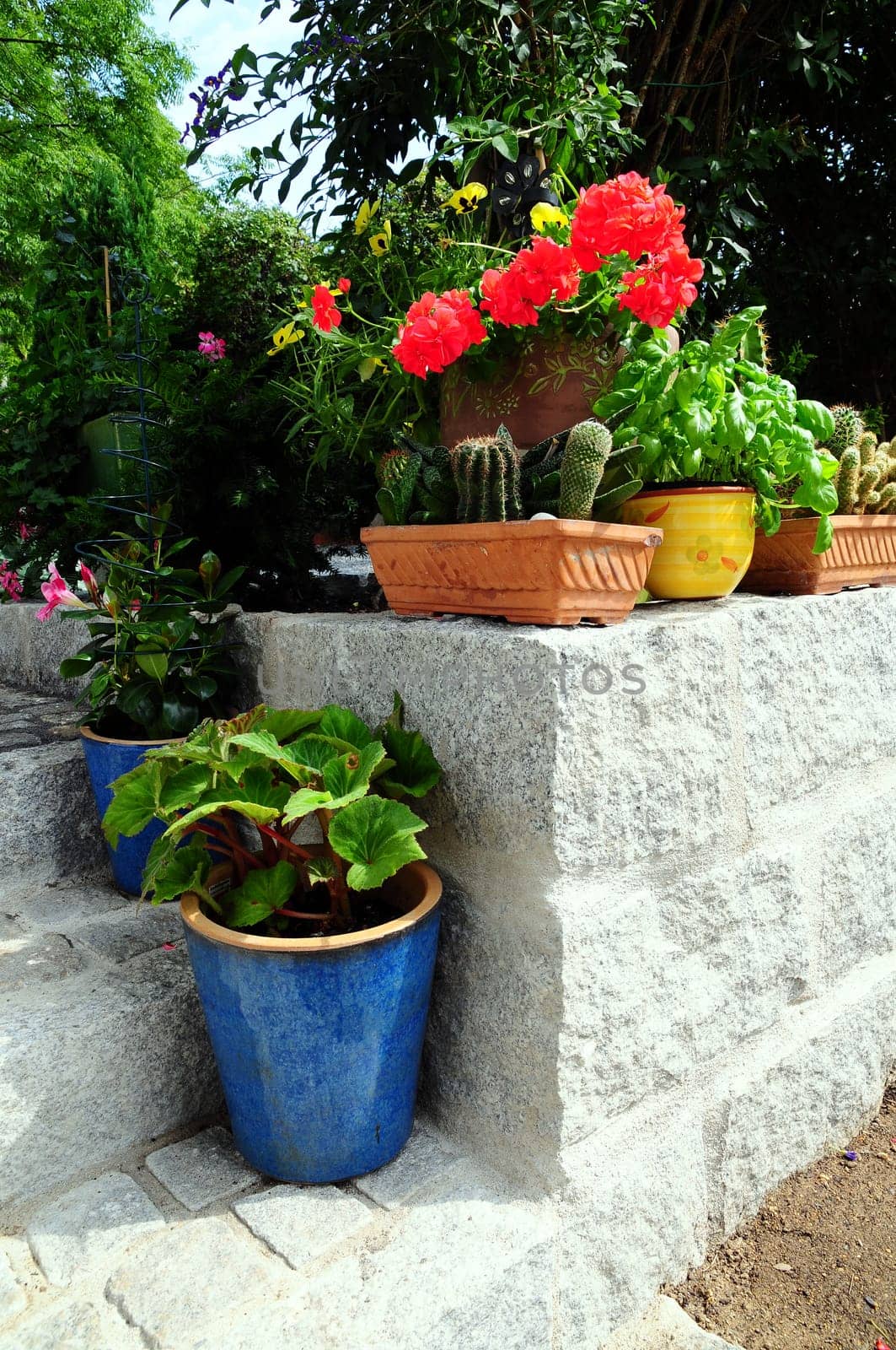 Garden wall with flower pots