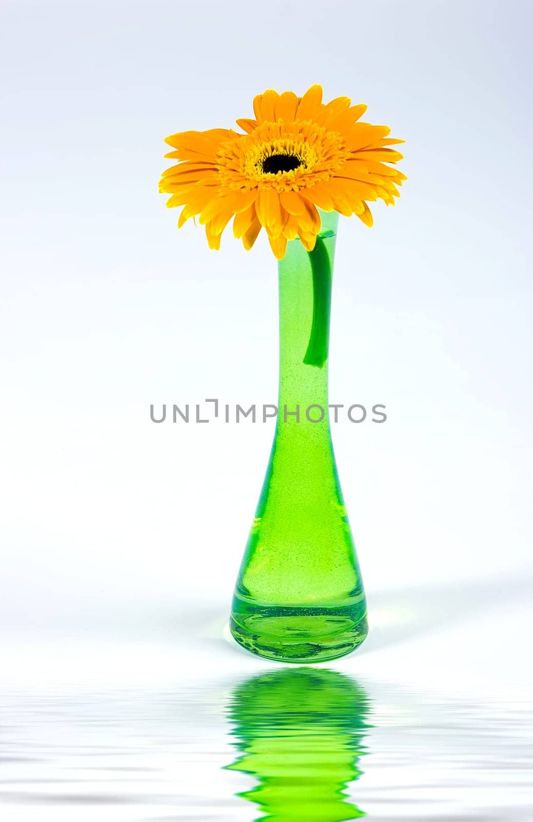 Decorative flower isolated on white