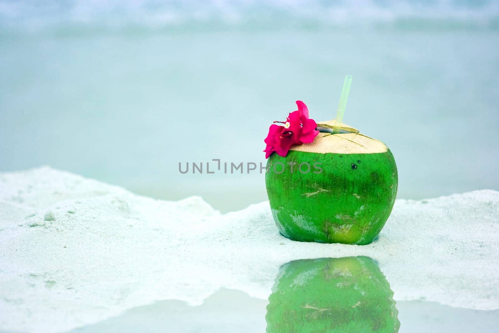 Coconut on the beach