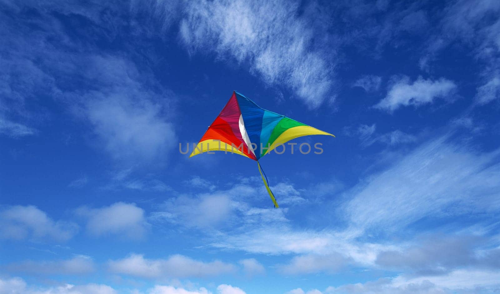 Kite on sky