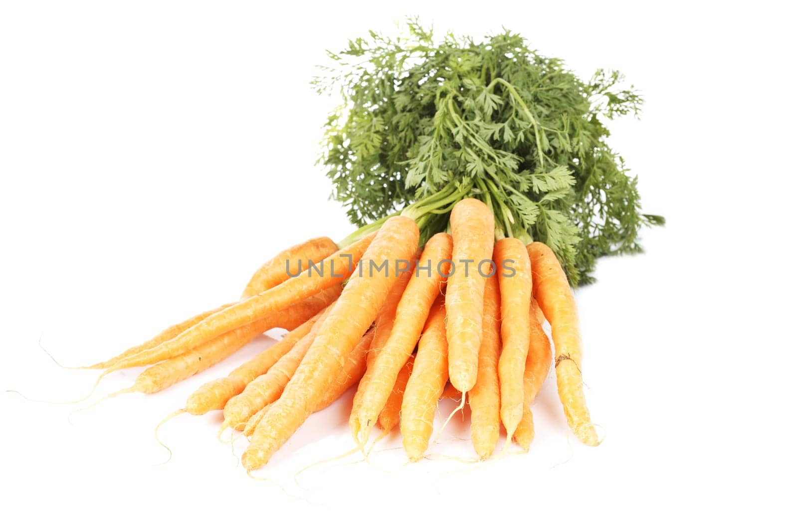 Fresh carrots