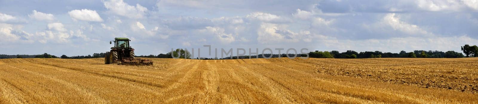 Panorama of a harvested grain field with bales of straw that have already been driven