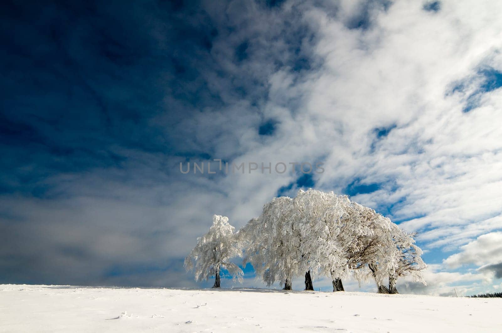 Winter200903