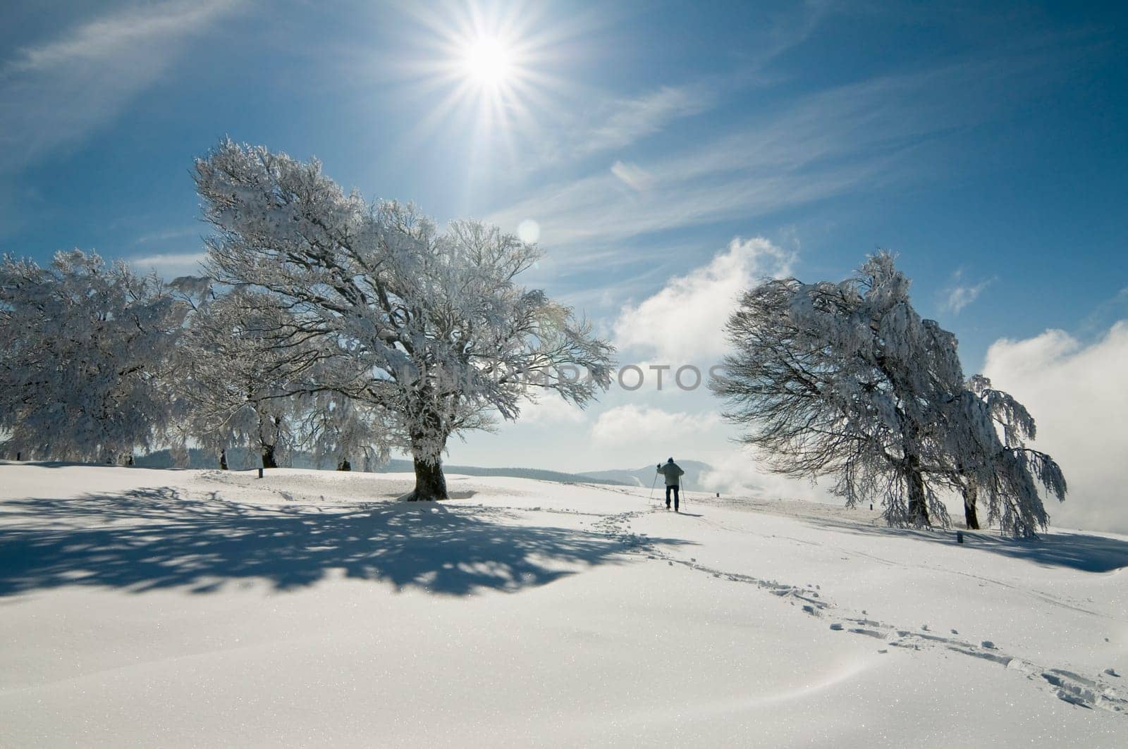 Winter200905
