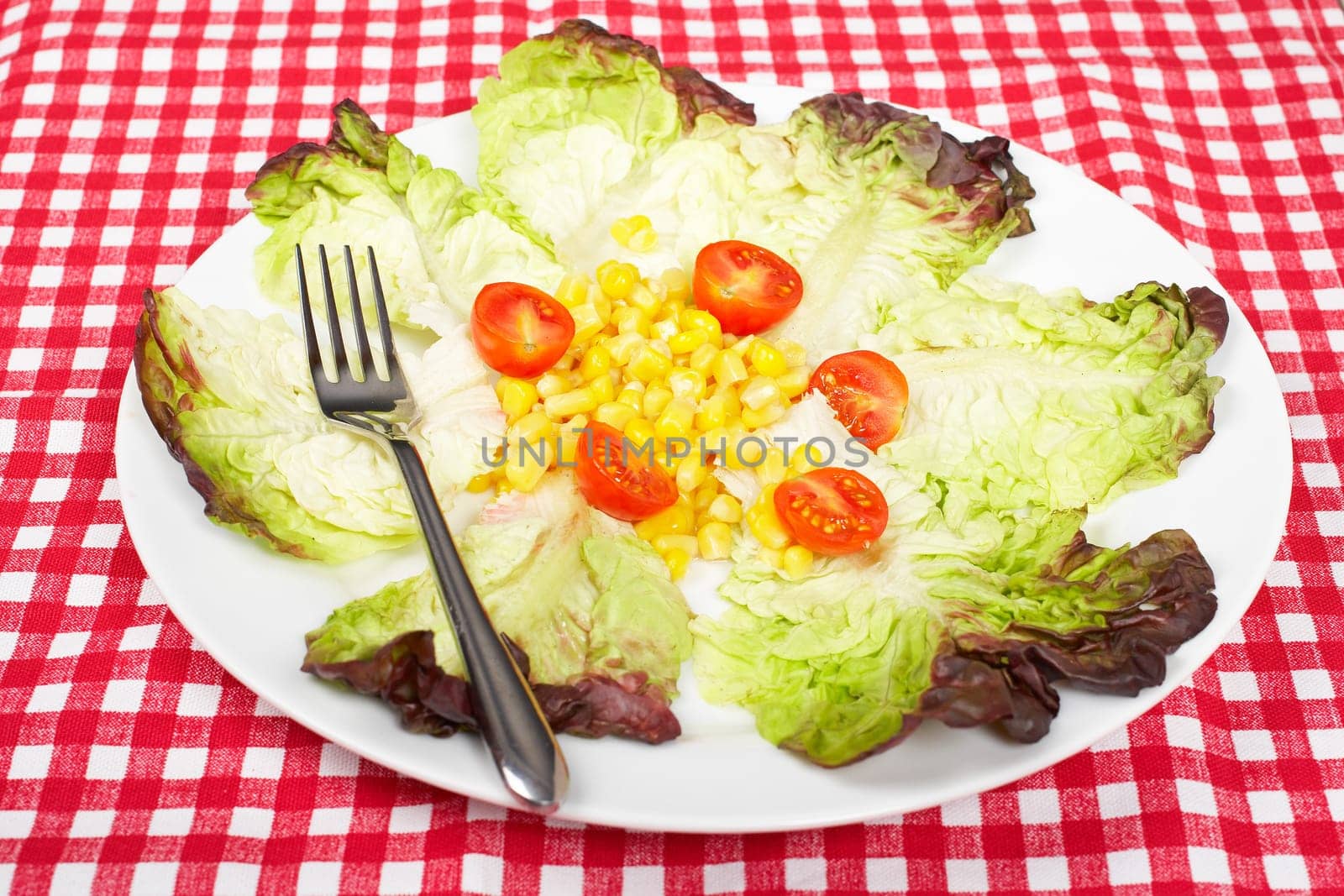 Salad