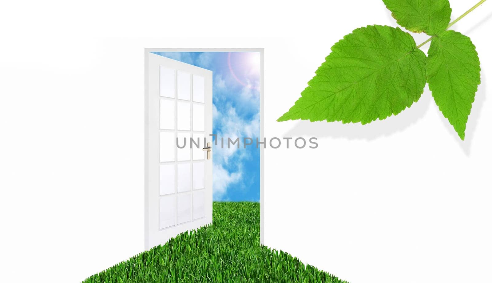 Door to the sky