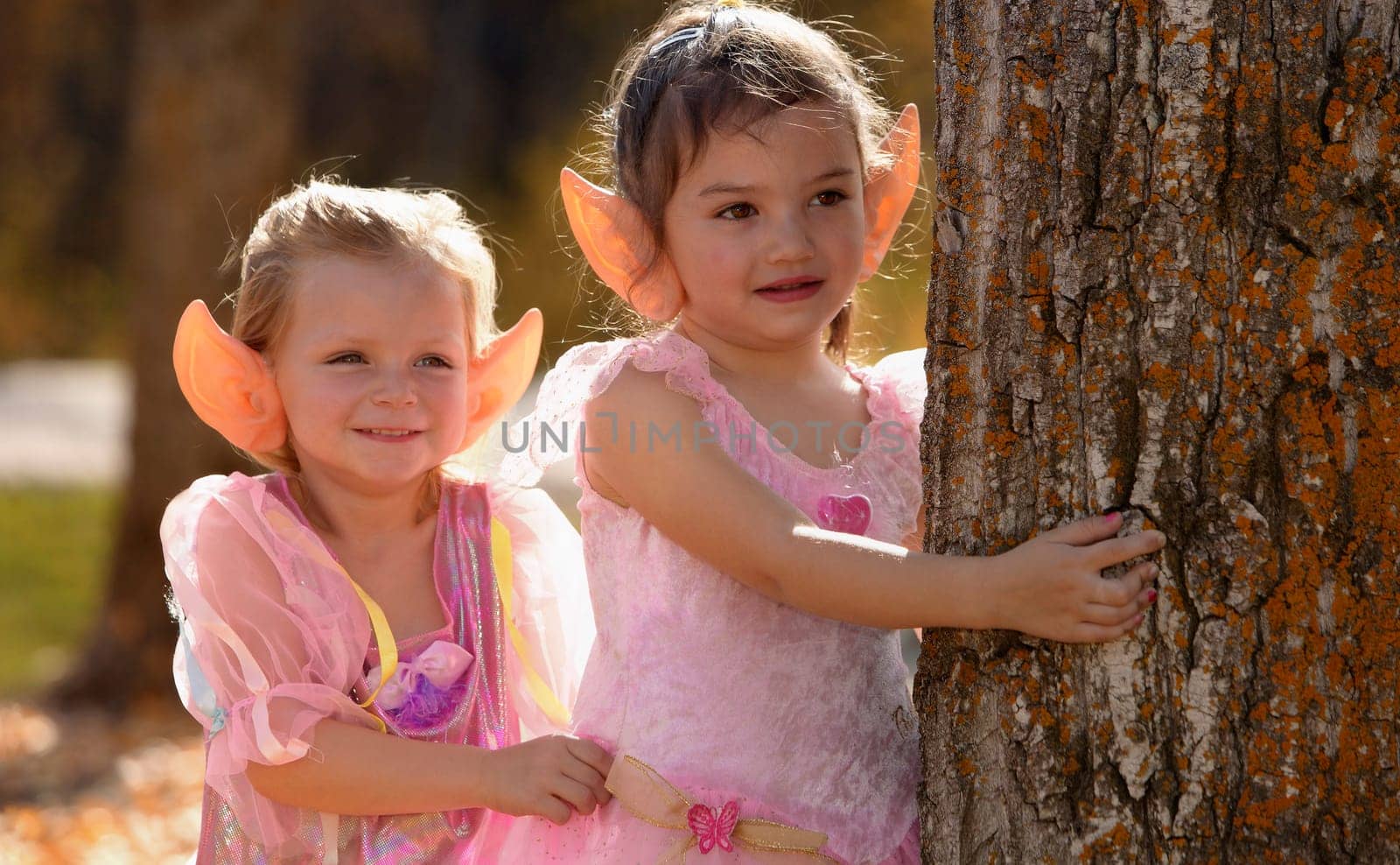 Two little elves waiting in the Autumn forest
