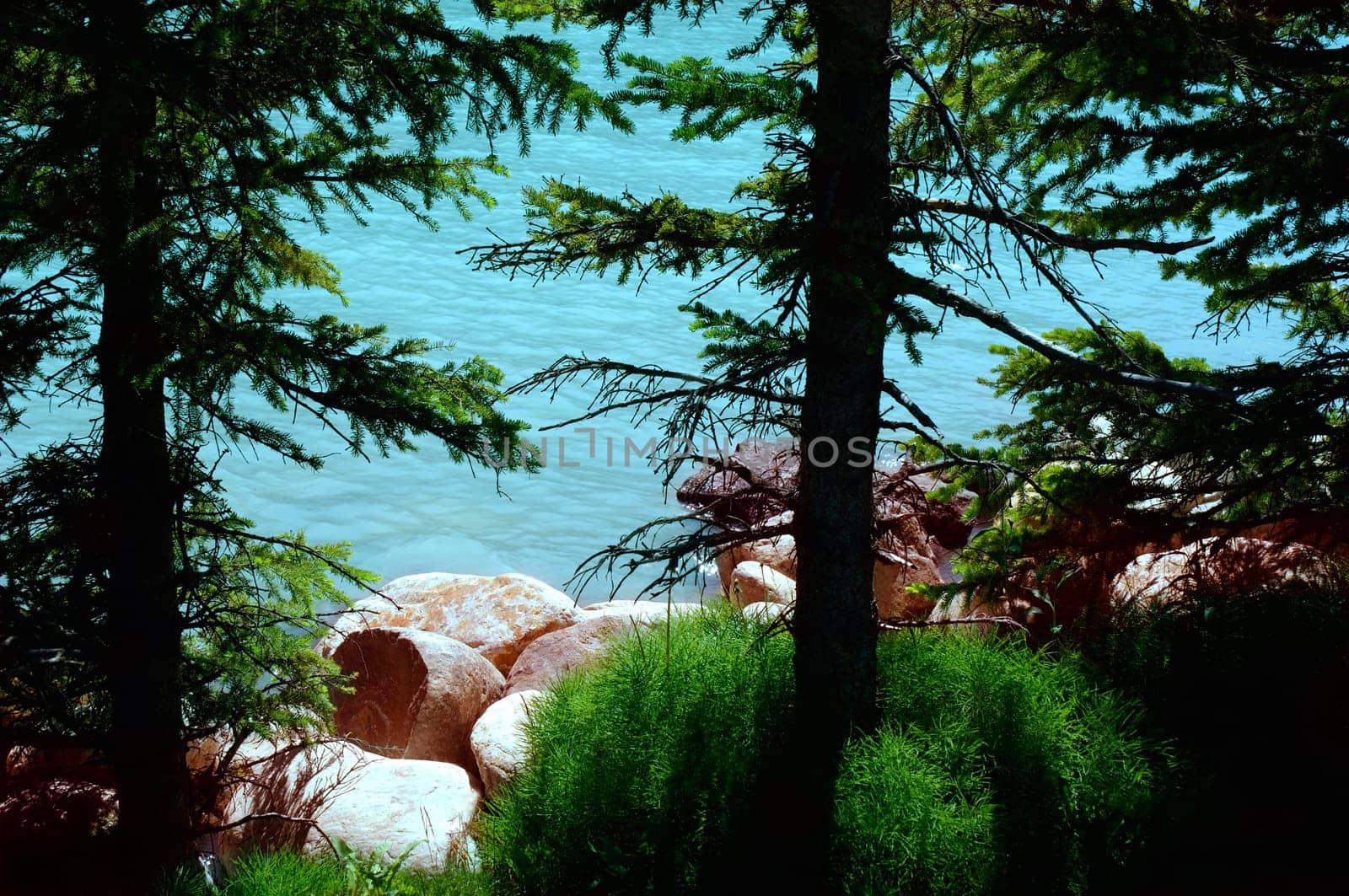 A shoreline of a body of water