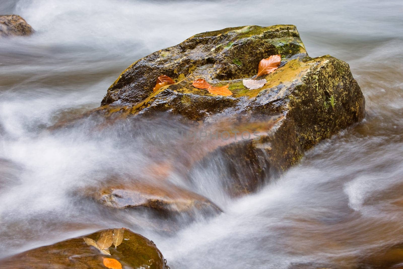 Autumn falls