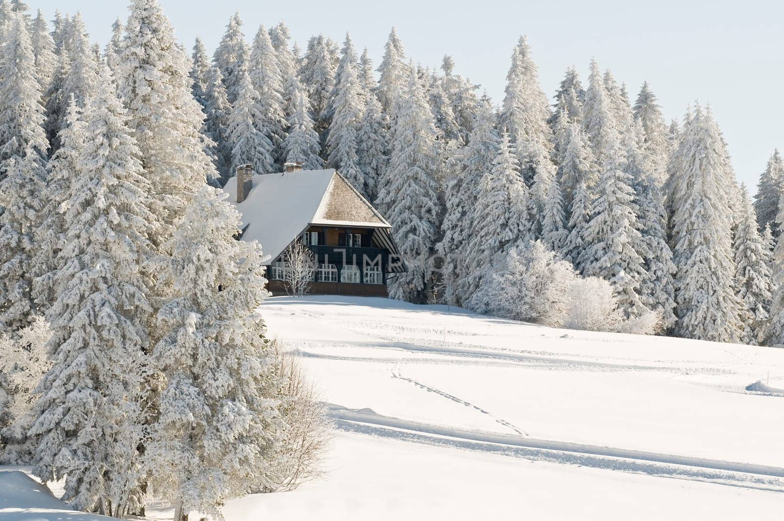 Black Forest House