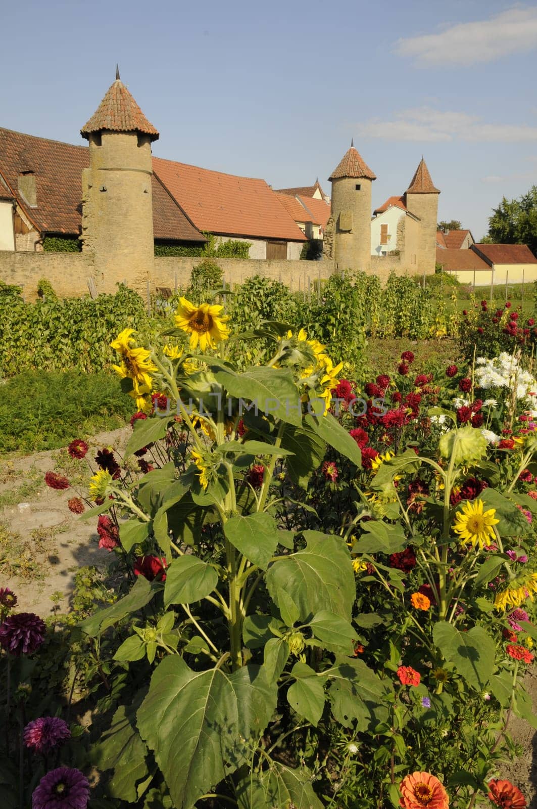 City wall in Mainbernheim
