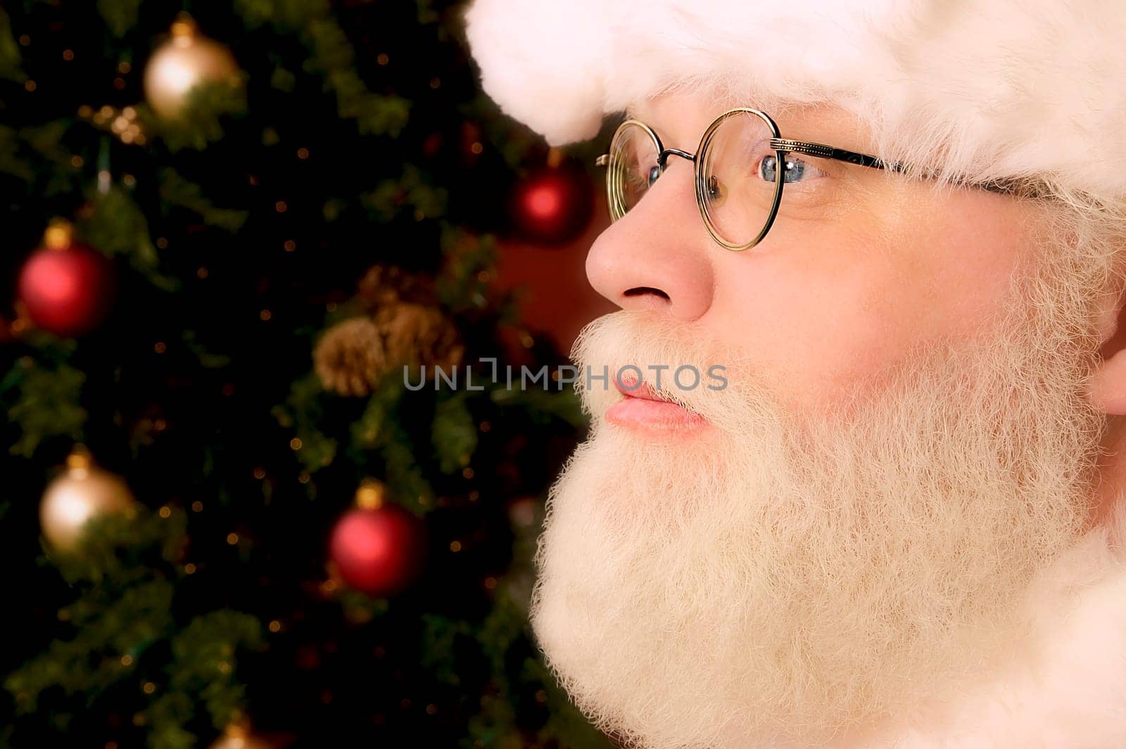Profile of Santa Claus