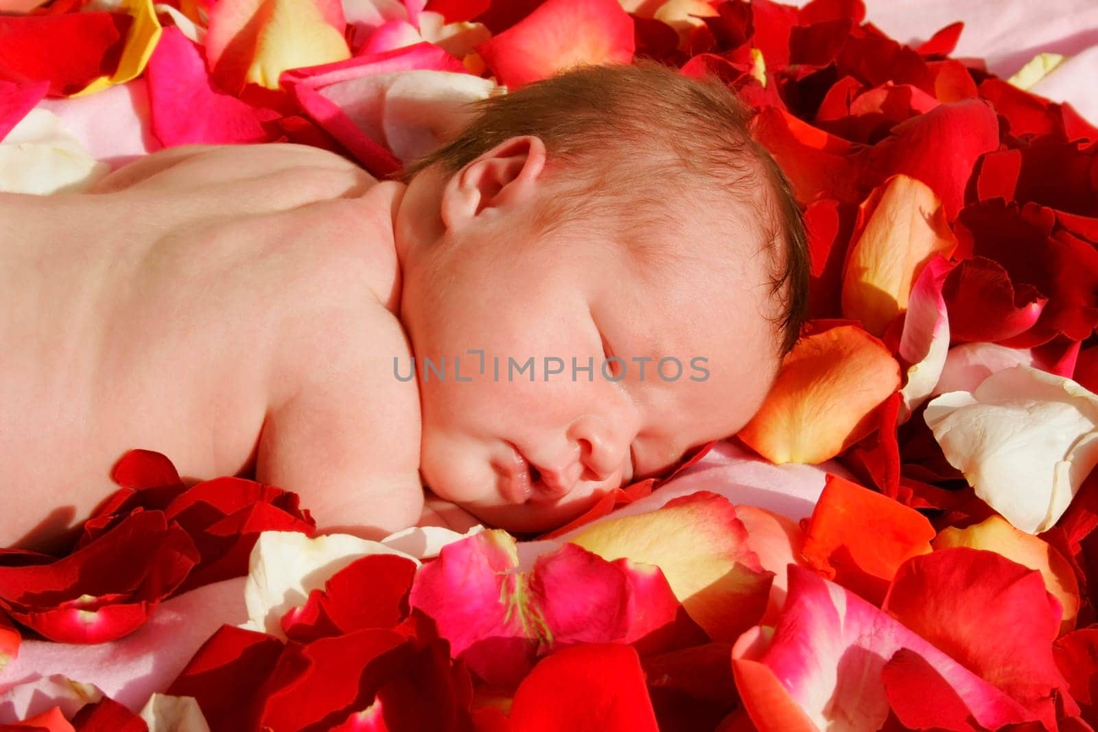 Baby sleeping on a bed of rose petals
