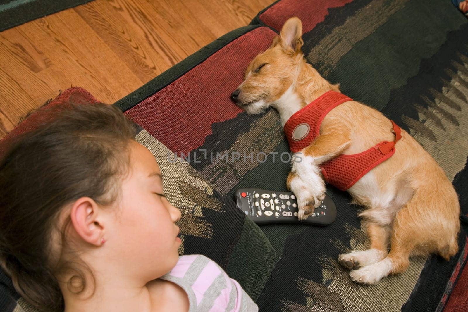 Little girl and dog sleeping together