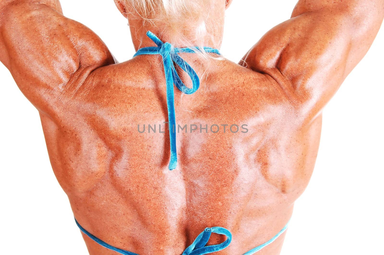 Tha back of a muscular woman.