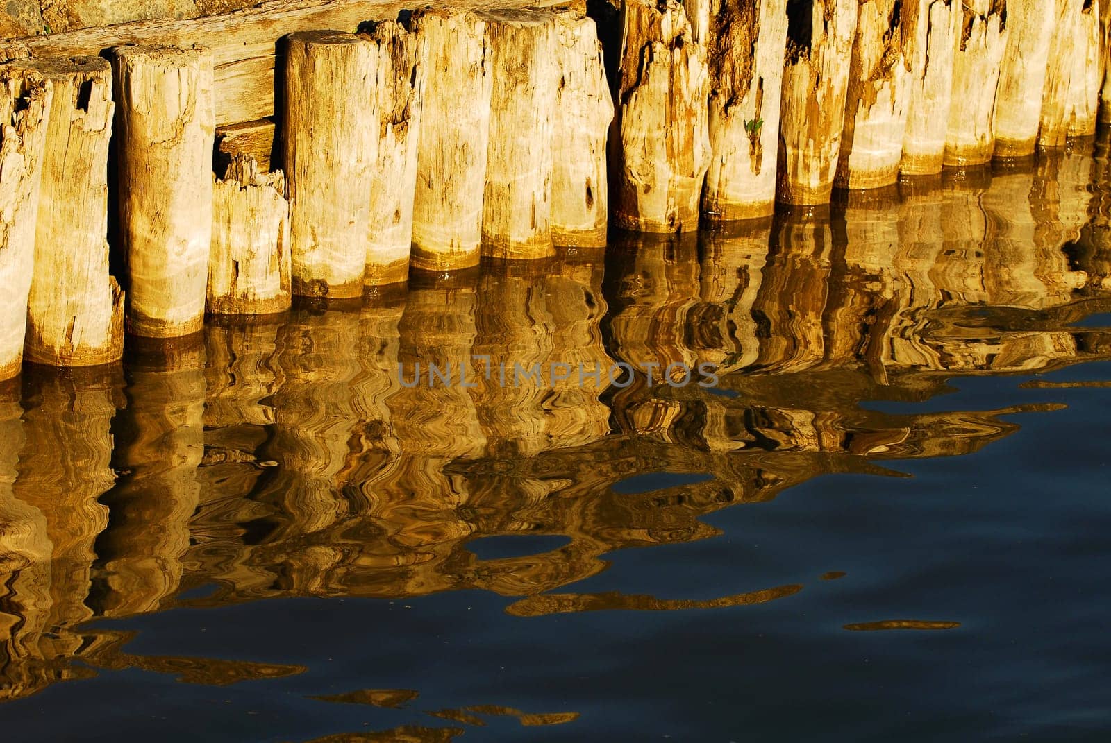 The water