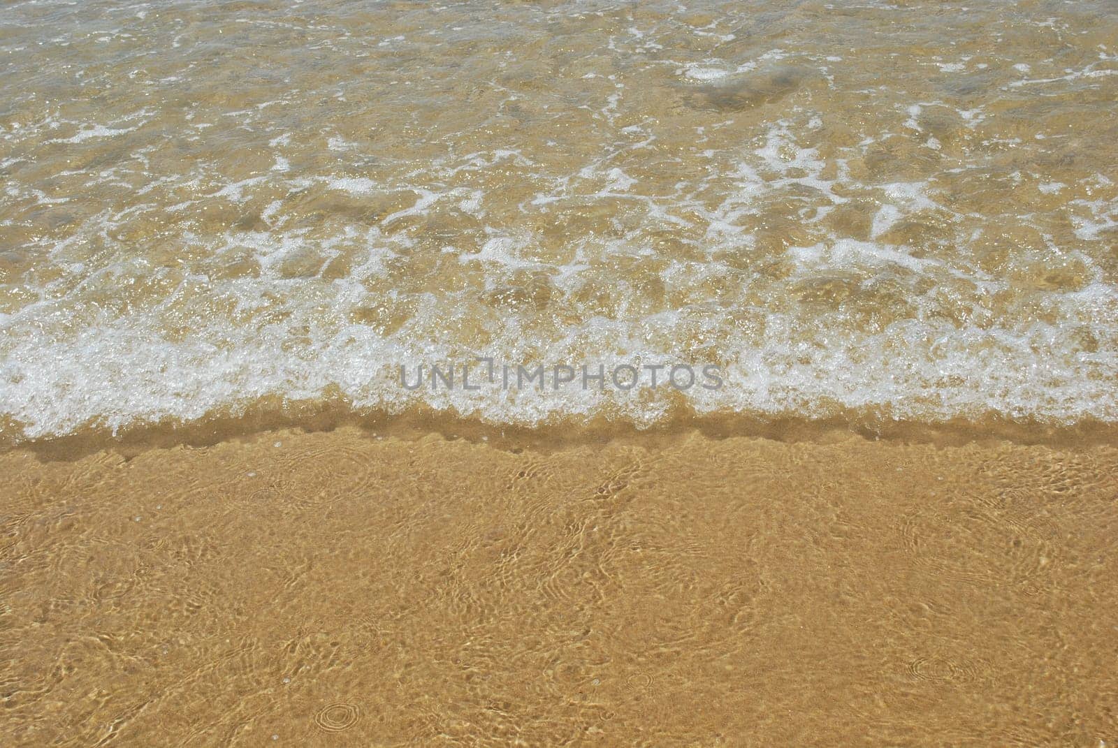 Ocean scene background