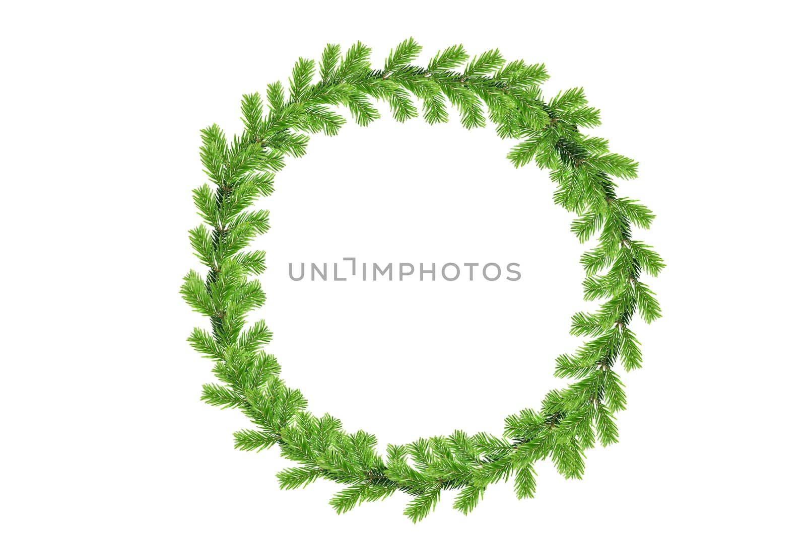 Fir branches