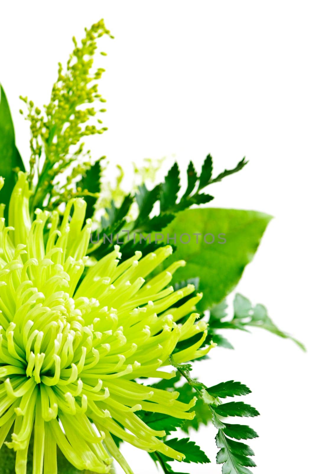 Flower arrangement